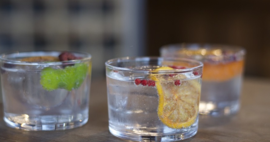 Mini gin tonic de bienvenida